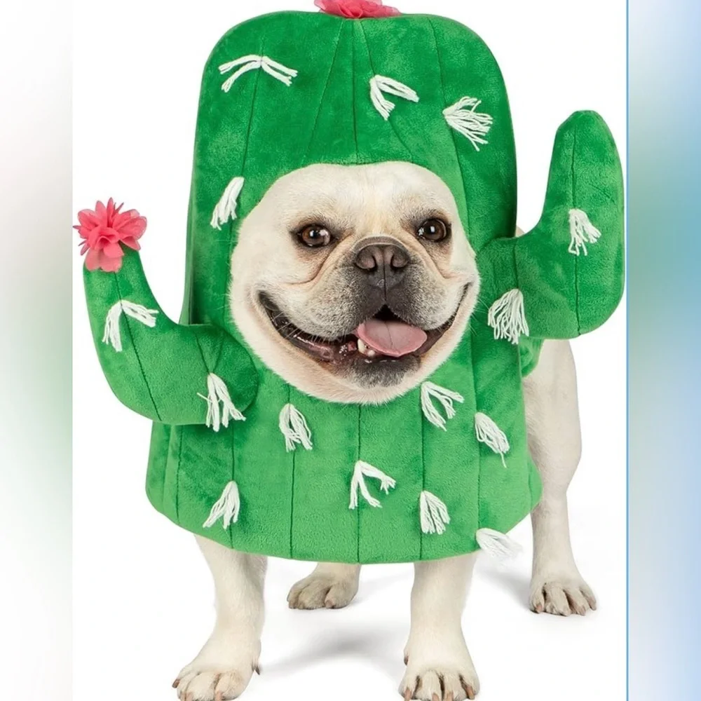 🌵 Cyeollo Cactus Dog Costume – Medium – Soft, Funny, Machine Washable 🌵